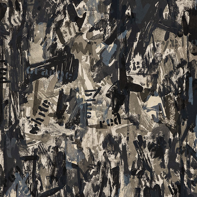 ジャスパージョーンズ　画集3冊 JASPER JOHNS: DRAWINGS：ジャスパー・ジョーンズの販売・通販 | OIL