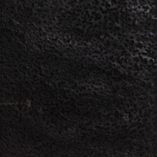 井田 照一／Ida Shoichi