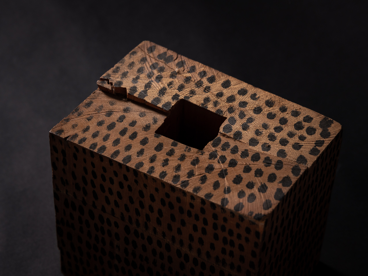 堀尾 貞治/Horio Sadaharu