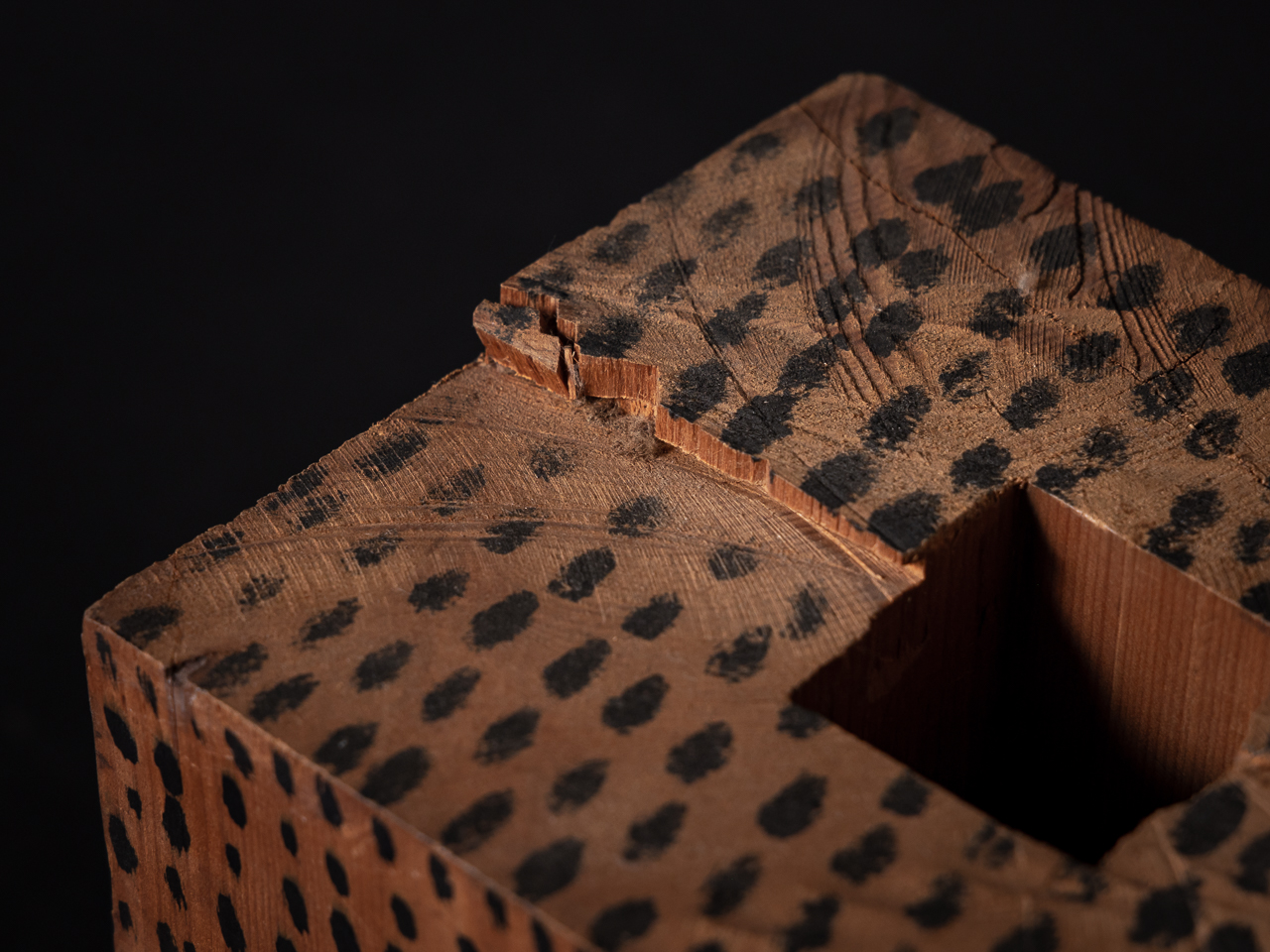 堀尾 貞治/Horio Sadaharu