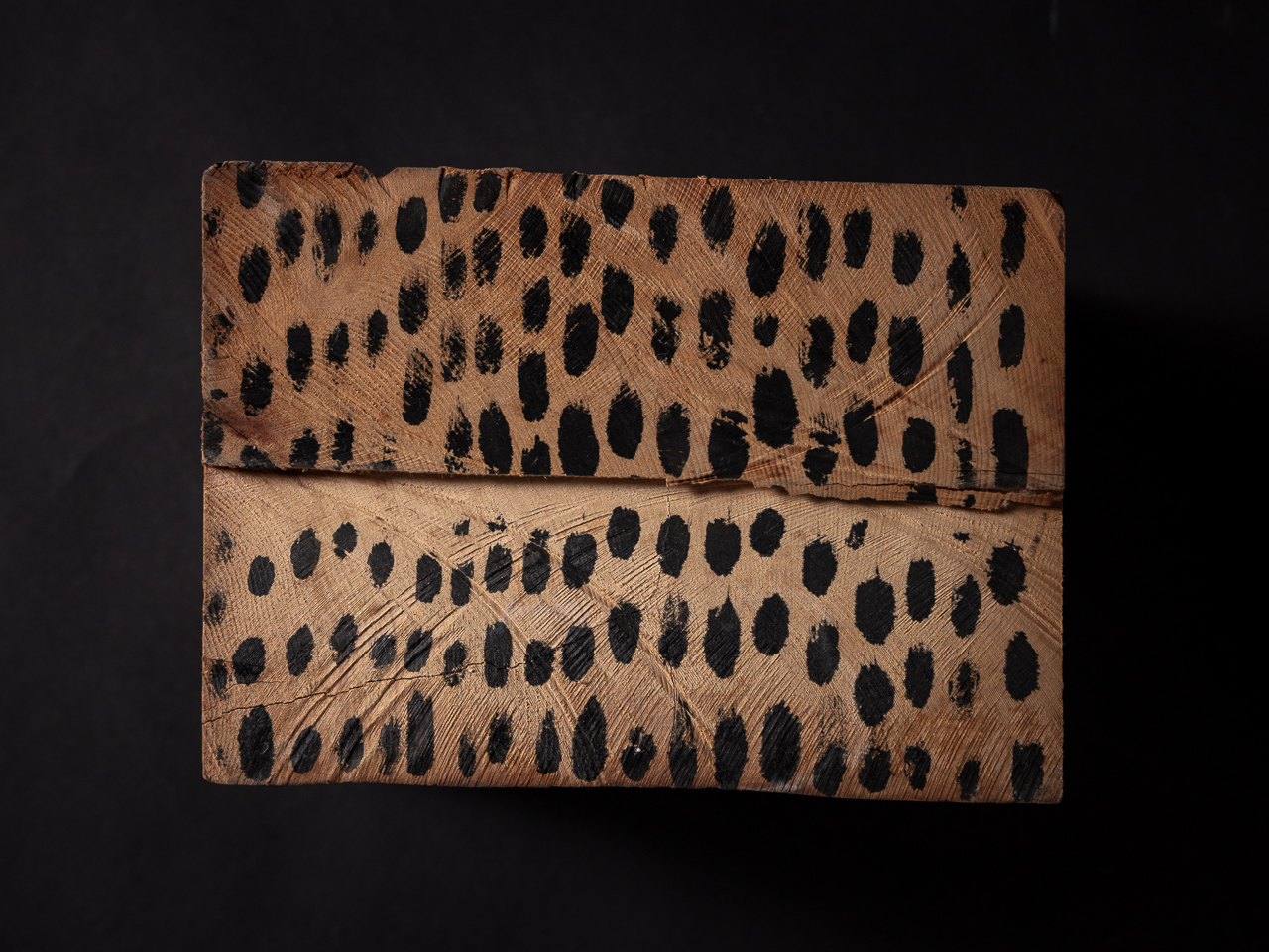 堀尾 貞治/Horio Sadaharu