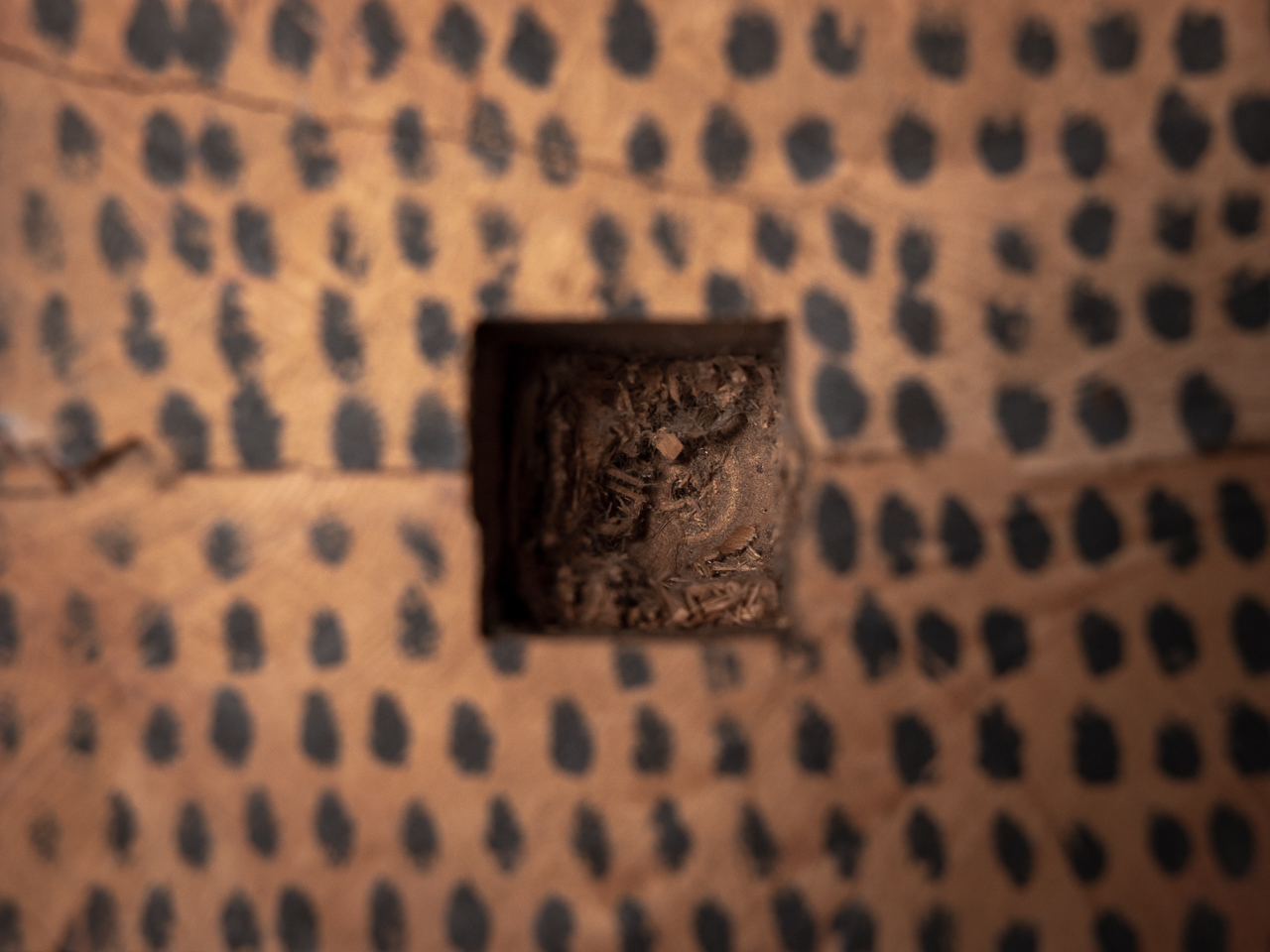 堀尾 貞治/Horio Sadaharu