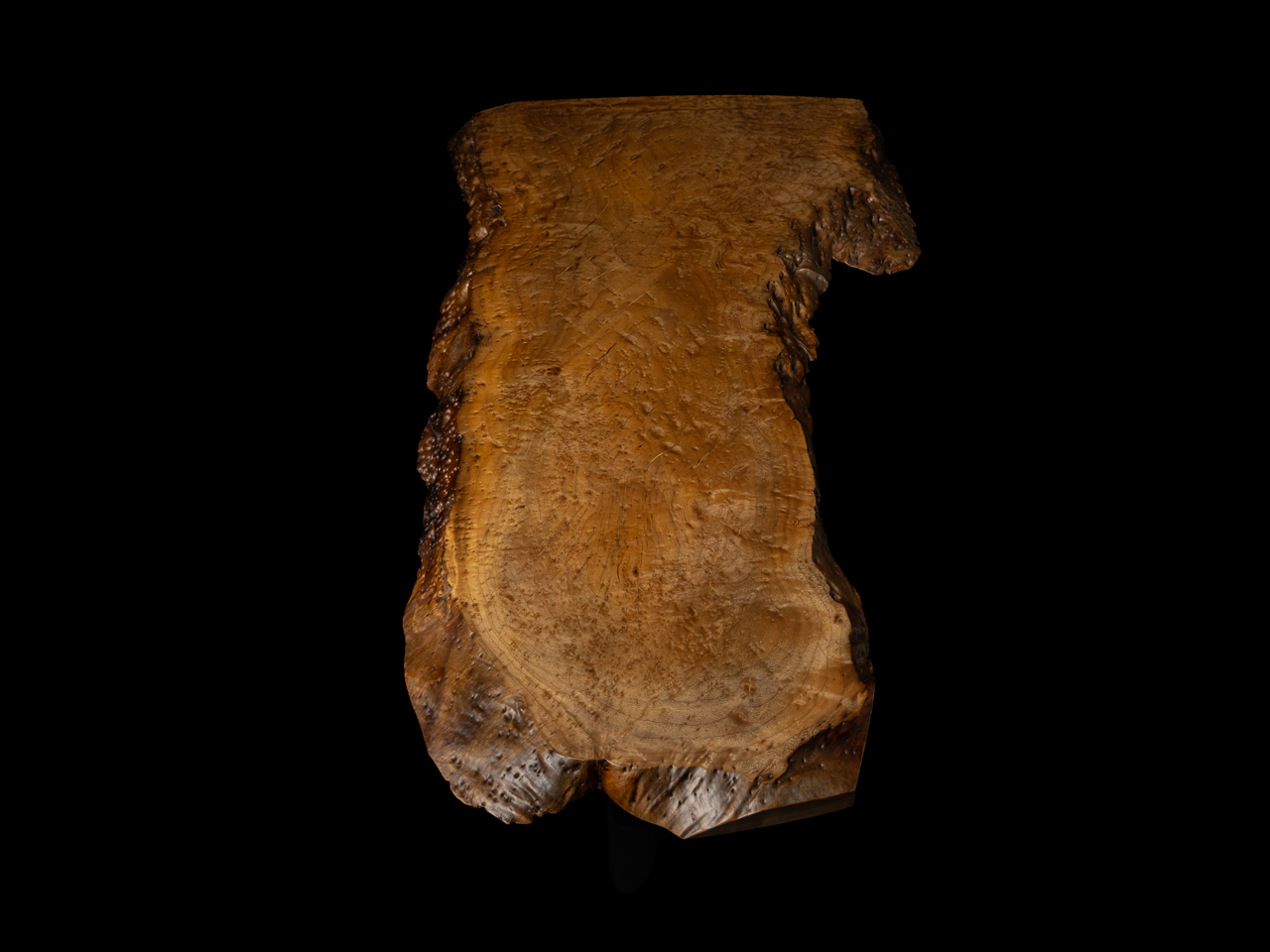 ミラ・ナカシマ／Mira Nakashima