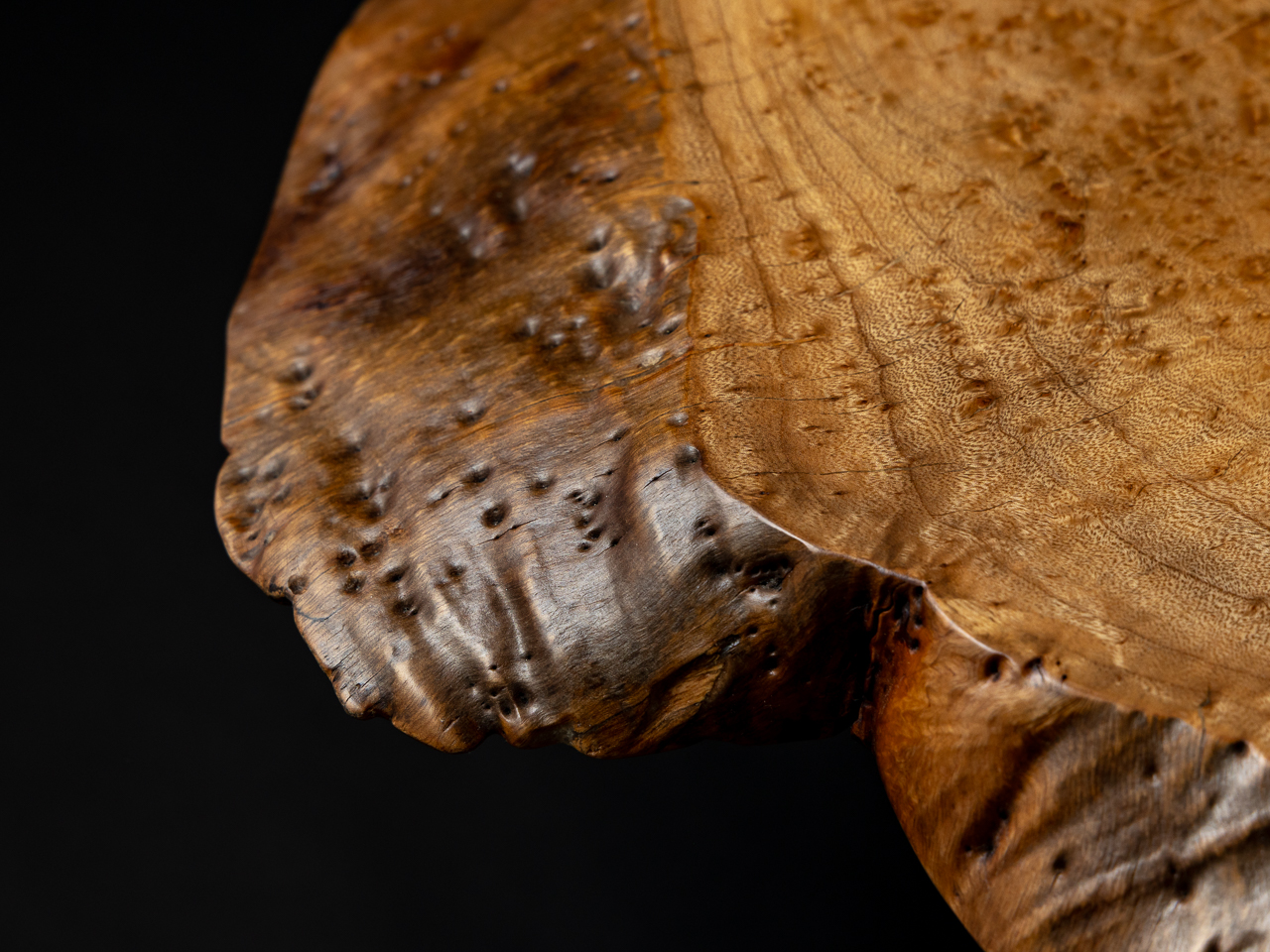 ミラ・ナカシマ／Mira Nakashima