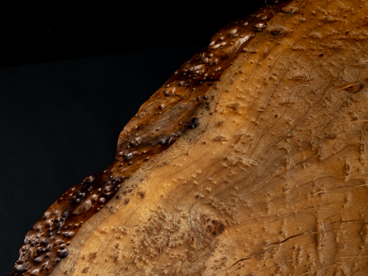 ミラ・ナカシマ／Mira Nakashima