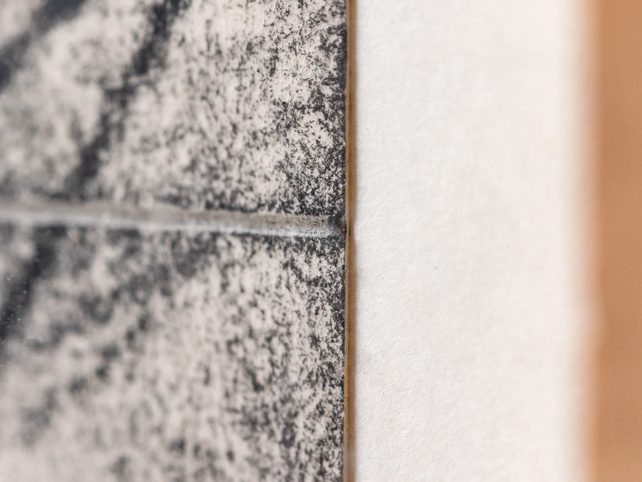 浅野 弥衛／Asano Yae