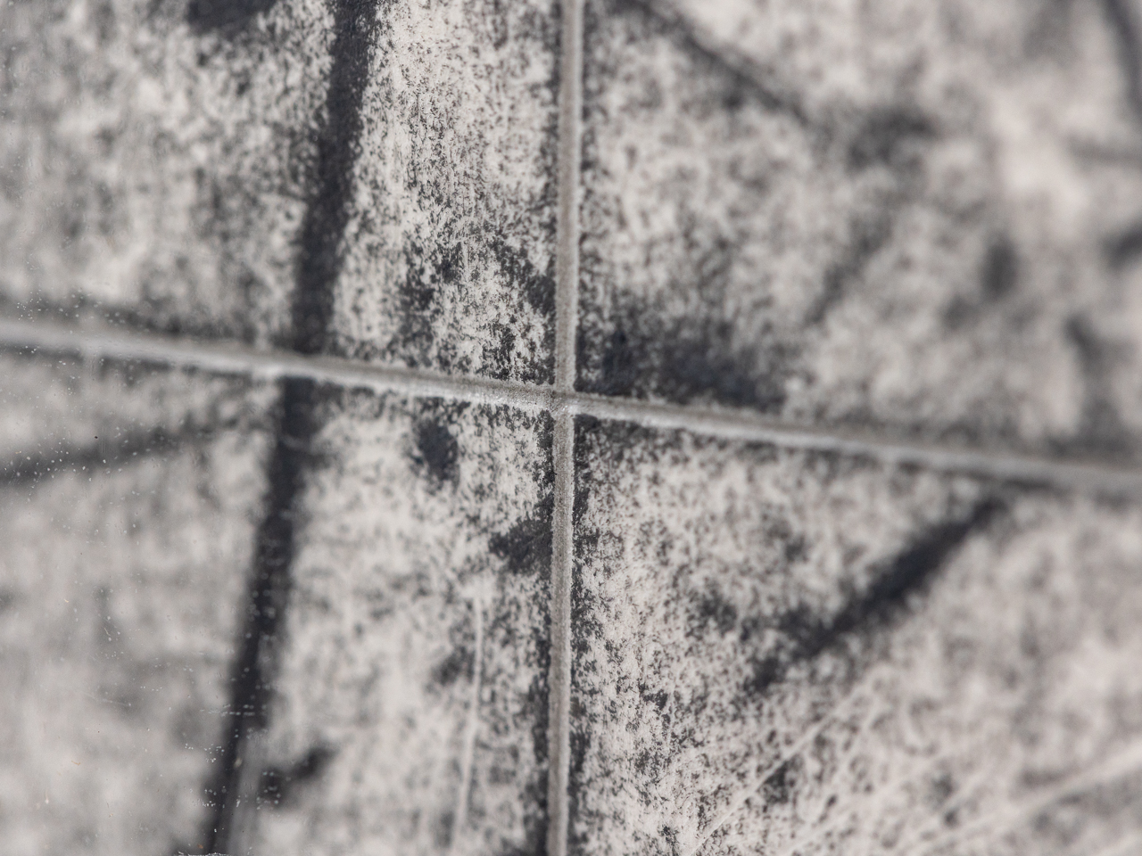 浅野 弥衛／Asano Yae