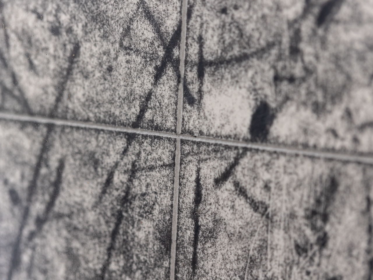 浅野 弥衛／Asano Yae