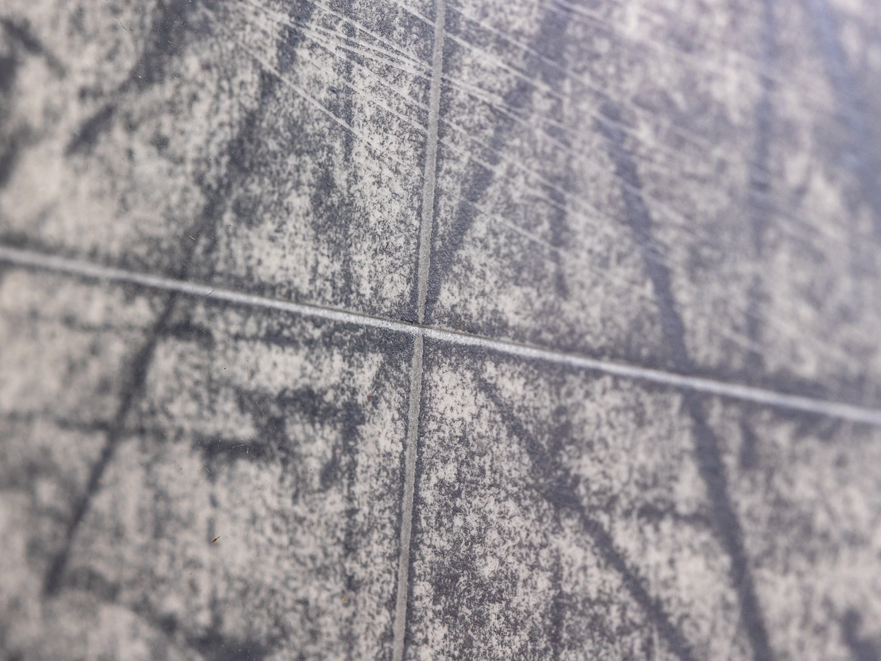 浅野 弥衛／Asano Yae