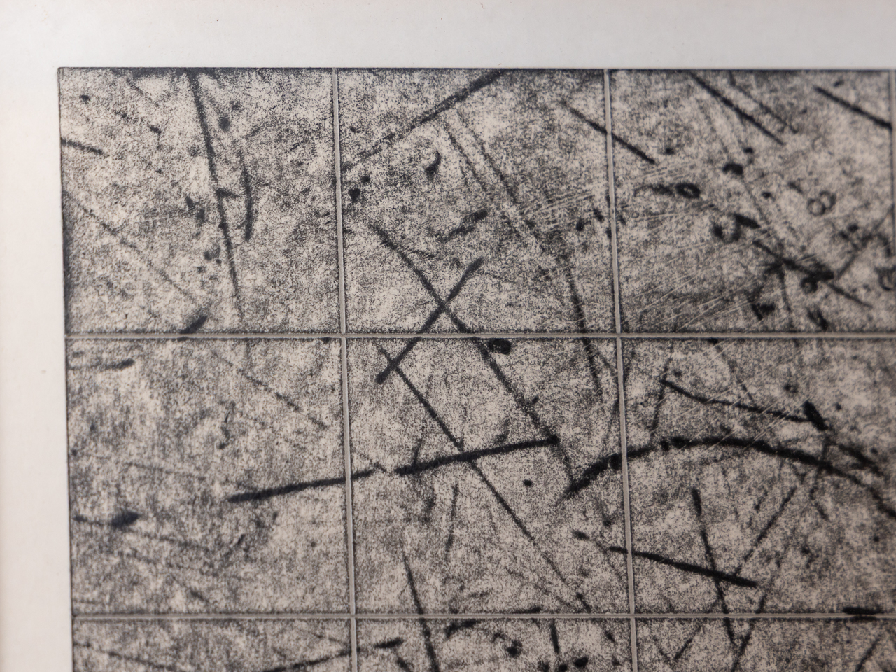 浅野 弥衛／Asano Yae