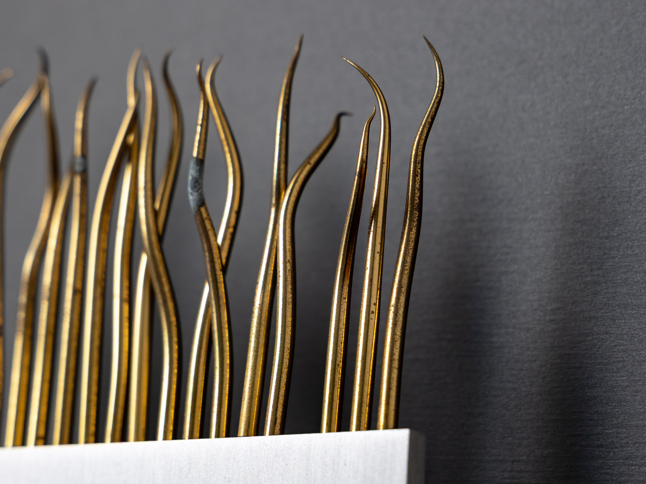 加藤 浩史／Kato Hiroshi