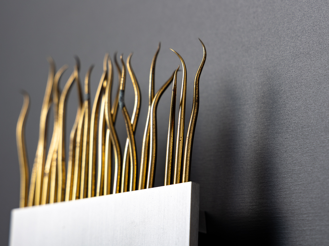 加藤 浩史／Kato Hiroshi